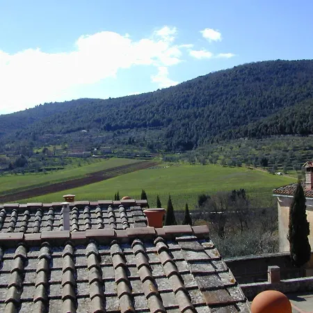 Il Pero Di Cetinale