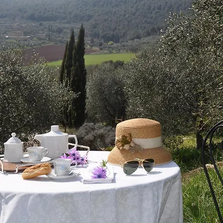 Il Pero Di Cetinale Hébergement de vacances *